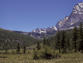 Alpe Veglia (Vb)